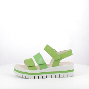  44620<br>CUIR VELOURS VERT SCRATCH